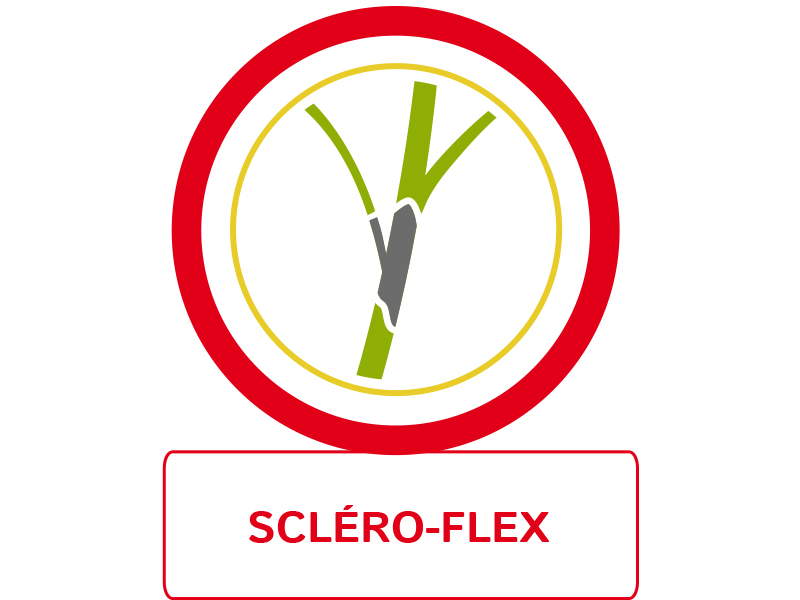 Visuel Scléro-flex